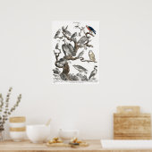 Kunst ter illustratie van  vogelboeken poster (Keuken)