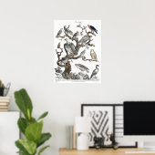 Kunst ter illustratie van  vogelboeken poster (Thuiskantoor)