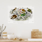 Kunst ter illustratie van  vogelboeken poster (Keuken)