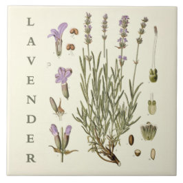 Kunst uit het verleden: Lavendelplant en bloemen W Tegeltje