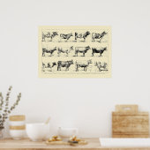 Kunst van Adolphe Millot over oude runderrassen Poster (Keuken)