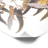 kunst van Audubon's gele prothonotary Warbler Foto Afdruk (Hoek)