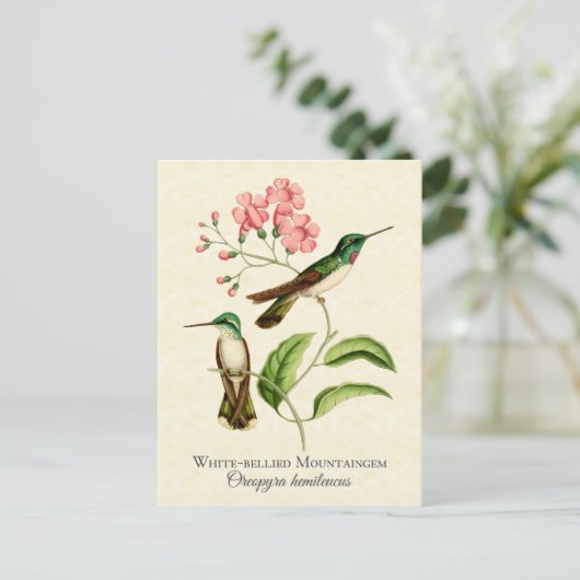  kunst van bergbeklimmervogel briefkaart (Staand voorkant)