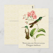  kunst van bergbeklimmervogel briefkaart (Voorkant / Achterkant)