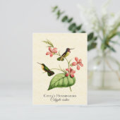  kunst van Costa's Hummingbird Briefkaart (Staand voorkant)
