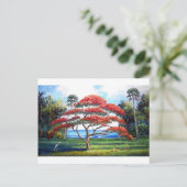 Kunst van de koninklijke boomstructuur Poinciana Briefkaart (Staand voorkant)