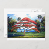 Kunst van de koninklijke boomstructuur Poinciana Briefkaart (Voorkant / Achterkant)