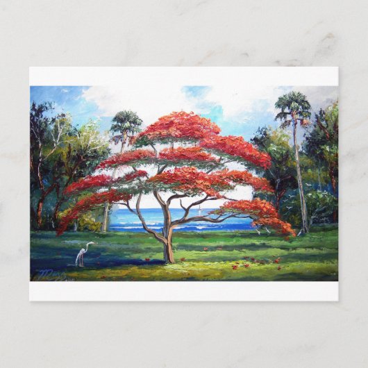 Kunst van de koninklijke boomstructuur Poinciana Briefkaart (Voorkant)