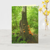 Kunst van de natuur: Beartown State Forest - Quote Kaart (Gele Bloem)