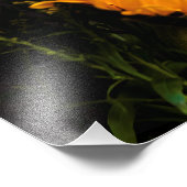 Kunst van de natuur foto afdruk (Hoek)