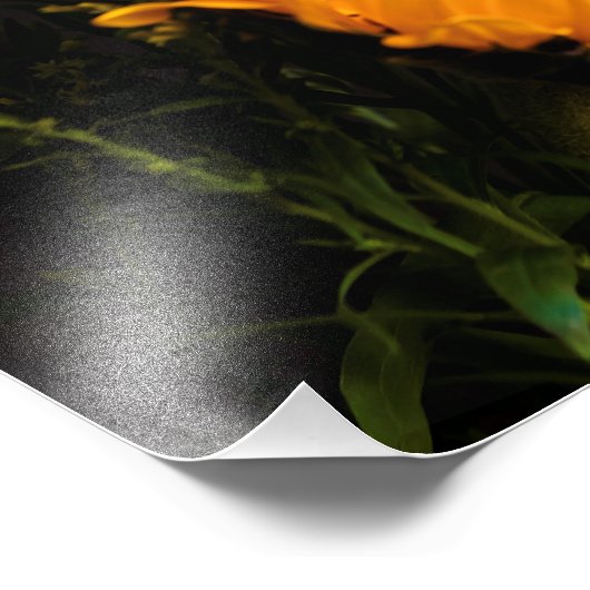 Kunst van de natuur foto afdruk (Hoek)