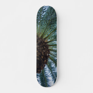 Kunst van de palmboom skateboard