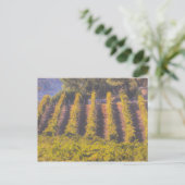 Kunst van de Wijngaard Briefkaart (Staand voorkant)