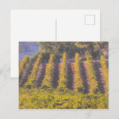 Kunst van de Wijngaard Briefkaart (Voorkant / Achterkant)
