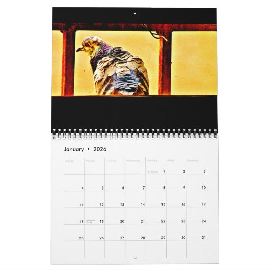 Kunst van duiven kalender (Jan 2026)