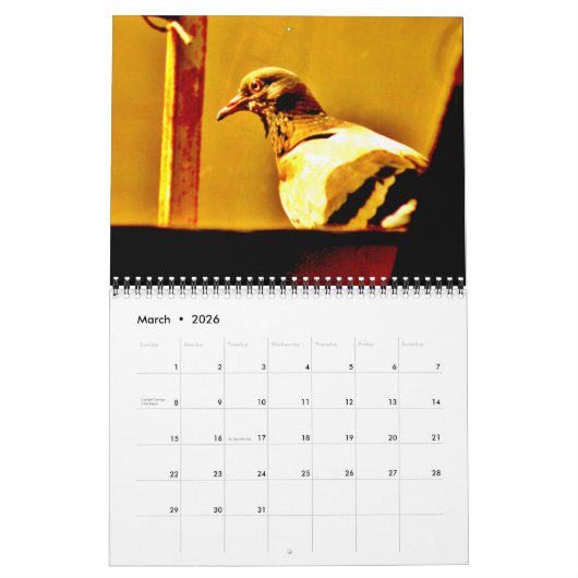 Kunst van duiven kalender (Mar 2026)