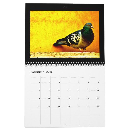 Kunst van duiven kalender (Feb 2026)