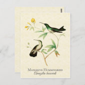  kunst van Mangrove Hummingbird Briefkaart (Voorkant / Achterkant)