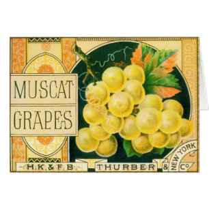 Kunst van oude fruitkratlabel, muskaatdruiven