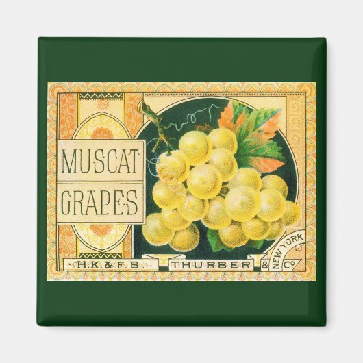 Kunst van oude fruitkratlabel, Muskaatdruiven Magneet (Voorkant)
