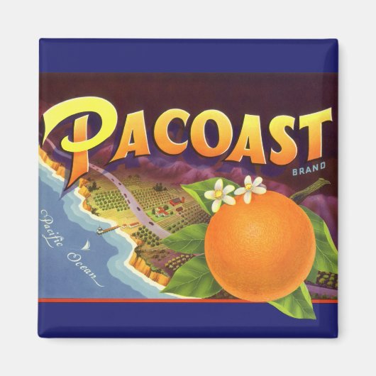 Kunst van oude fruitkratlabel, Pacoast Sinaasappel Magneet (Voorkant)