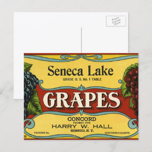 Kunst van oude fruitkratlabel, Seneca Lake Druiven Briefkaart
