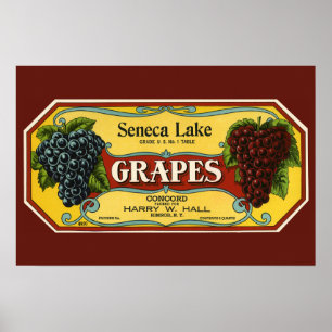 Kunst van oude fruitkratlabel, Seneca Lake-druiven Poster