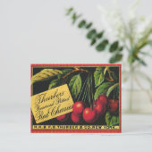 Kunst van oude fruitkratlabel, Thurber-kersen Briefkaart (Staand voorkant)