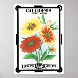 Kunst van oude zaadpakketten, Calliopsis-tuinbloem Poster