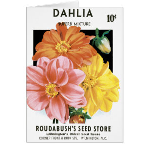 Kunst van oude zaadpakketten, Dahlia-tuinbloemen