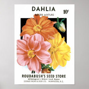 Kunst van oude zaadpakketten, Dahlia-tuinbloemen Poster