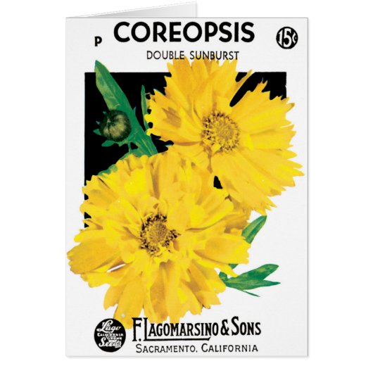 Kunst van oude zaadpakketten, gele Coreopsis-bloem (Voorkant)