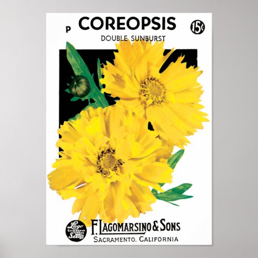 Kunst van oude zaadpakketten, gele Coreopsis-bloem Poster (Voorkant)