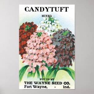Kunst van oude zaadpakketten, tuinbloemen van Cand Poster