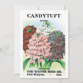 Kunst van oude zaadpakketten, tuinbloemen van Iber (Voorkant)