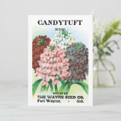 Kunst van oude zaadpakketten, tuinbloemen van Iber (Staand voorkant)