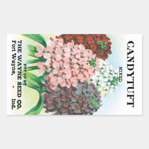 Kunst van oude zaadpakketten, tuinbloemen van sche rechthoekige sticker