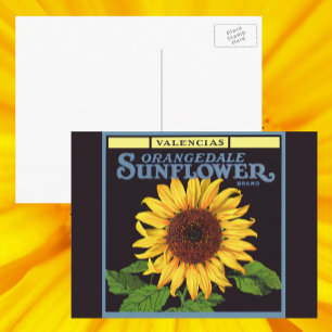 Kunst van vintage fruitkratlabel Orangedale Sunflo Briefkaart