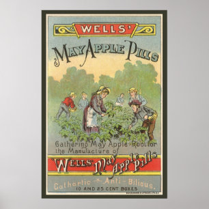 Kunst van vintage productlabel, Wells May Apple Pi Poster