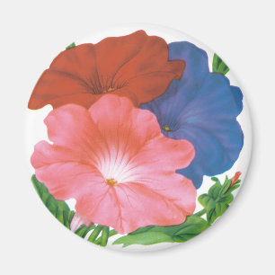 Kunst van vintage zaadpaketlabels, Petunia Bloemen Magneet