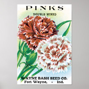 Kunst van vintage zaadpakket, Pinks anjer bloemen Poster