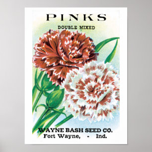 Kunst van vintage zaadpakket, Pinks anjer bloemen Poster