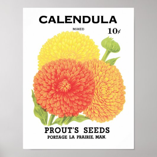 Kunst van vintage zaadpakketlabels, Calendula bloe Poster (Voorkant)
