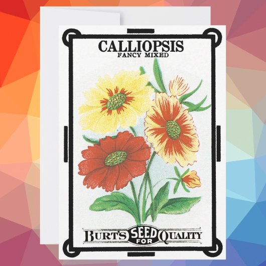 Kunst van vintage zaadpakketlabels, Calliopsis-blo