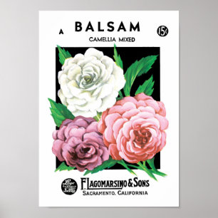Kunst van vintage zaadpakketlabels, Camellia-bloem Poster