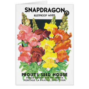 Kunst van vintage zaadpakketlabels, Leeuwenbekjesb