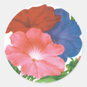 Kunst van vintage zaadpakketlabels, Petunia Bloeme Ronde Sticker