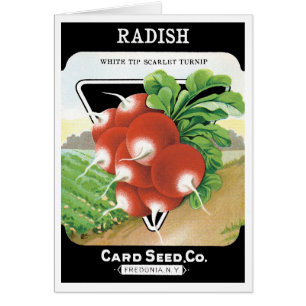 Kunst van vintage zaadpakketlabels, scharlaken rad