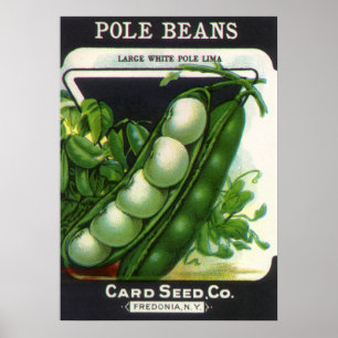 Kunst van vintage zaadpakketlabels, stok limabonen poster