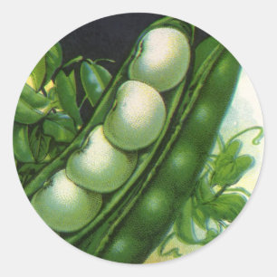 Kunst van vintage zaadpakketlabels, stok limabonen ronde sticker
